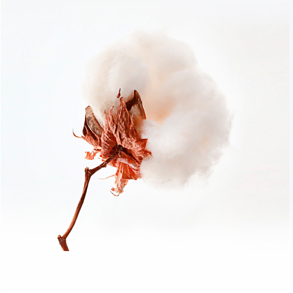 δ????-5_06.jpg δ????-5_06.jpg